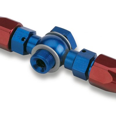 Earls Double Banjo Hose End